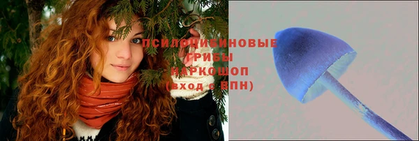 герыч Осинники