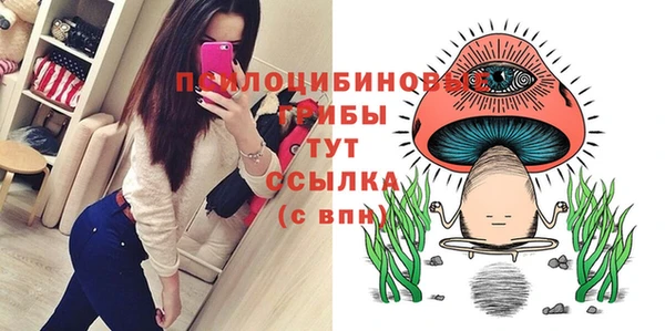 спайс Осташков