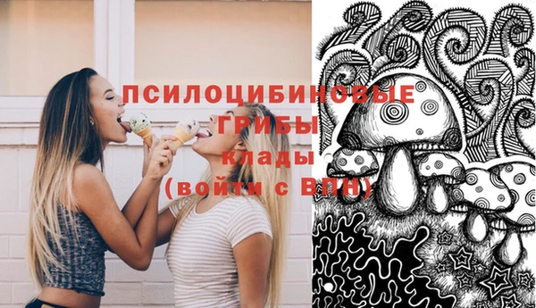 спайс Осташков