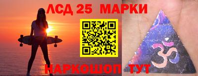 шишки Кандалакша