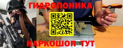 шишки Кандалакша