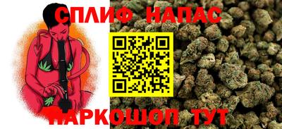 шишки Кандалакша