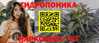 шишки Кандалакша
