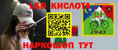 шишки Кандалакша