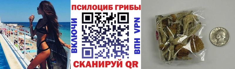 Псилоцибиновые грибы Psilocybine cubensis Лесозаводск