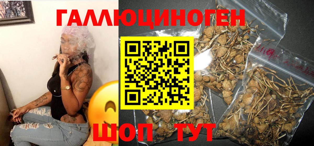 Псилоцибиновые грибы мицелий Лесозаводск