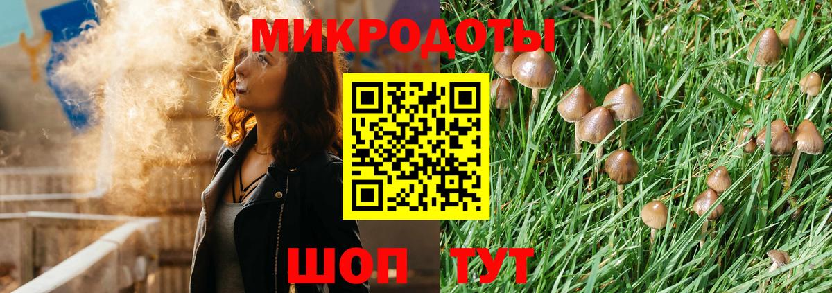 Псилоцибиновые грибы Magic Shrooms  Вход с VPN  Лесозаводск 